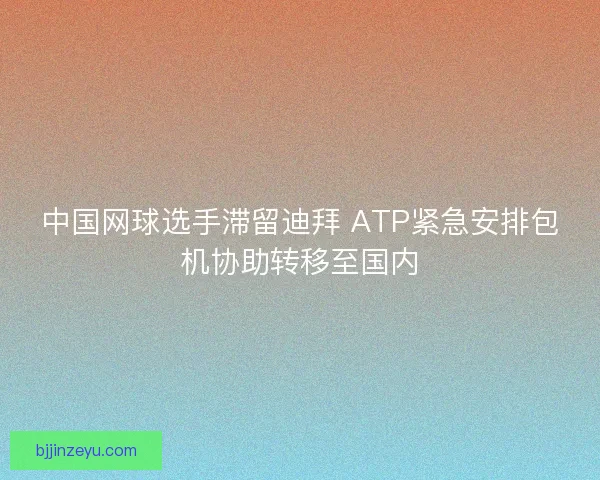 中国网球选手滞留迪拜 ATP紧急安排包机协助转移至国内